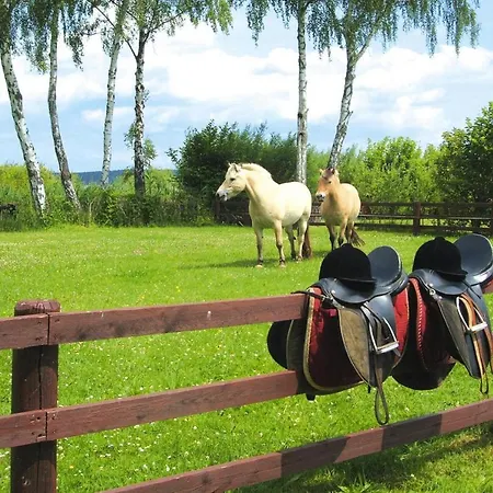 Seepark Heidenholz, Plau Am Vakantiehuis