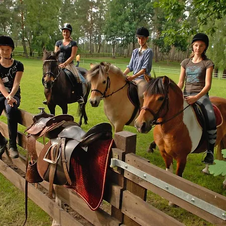 Ferienhaus Seepark Heidenholz, Plau Am